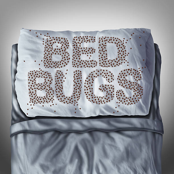 Bed Bug Specialists